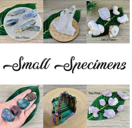 Small Specimens
