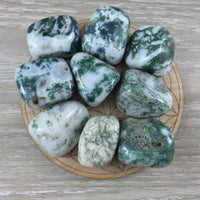 Tree Agate / Dendritic Agate - Tumbled, Smooth, Polished - *Stone of Plentitude* - *Stability* - *Perseverance* - Reiki Healing