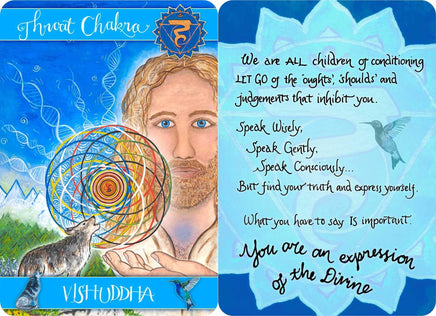 Chakra Cards for Belief Change: The Healing InSight Method Cards by Nikki Gresham-Record