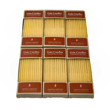 12 Gala Candles - 100% Pure Beeswax Honey - ABSOLUTE BEST! - Handcrafted Western Canada - Bee Friendly - 4 to 5 hours Burn time