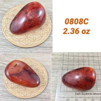 BIG Carnelian Palm Stone - 2"+  Vibrant!  Smooth, Polished, No Dyes! Natural Colors - *COURAGE* - *CONFIDENCE* - Reiki Energy