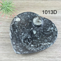 Marine Fossil Ammonite Heart Dish - YOU PICK - Crystal Holder - *Harmony* - *Positive Motion* - *Change*