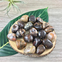 Bamboo Leaf Agate Tumbled Stone - Smooth, Polished, Natural, No Dyes - *Connect with Nature" - *Enjoy Life & Life* - Reiki Healing