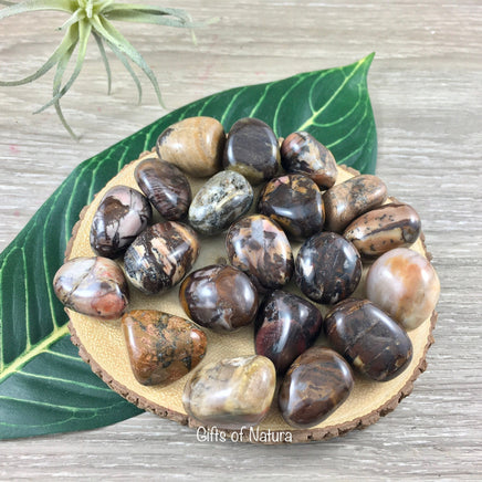 Bamboo Leaf Agate Tumbled Stone - Smooth, Polished, Natural, No Dyes - *Connect with Nature" - *Enjoy Life & Life* - Reiki Healing