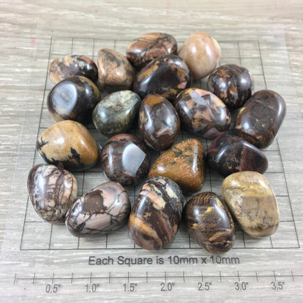 Bamboo Leaf Agate Tumbled Stone - Smooth, Polished, Natural, No Dyes - *Connect with Nature" - *Enjoy Life & Life* - Reiki Healing
