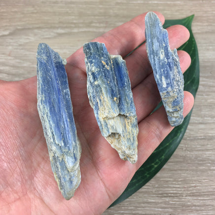 Small Kyanite Specimen - Rough, Natural, Raw, Unpolished -*Inner Bridges* - *Empathy* - *Past Life Recall* - *Psychic Ability*