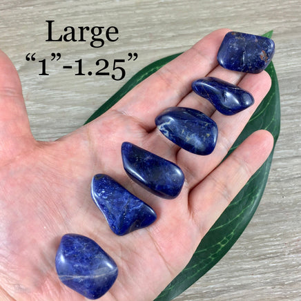 Dark Sodalite - High Grade! 0.75" to 1" Beautiful Polish - Tumbled Crystal | Free Form - *INSIGHT* - *COMMUNICATION* - Reiki Healing