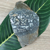 4.25" Moss Agate Slab - Natural, No Dyes, Unpolished - Lapidary - *Connect with Nature" - "Reduce Sensitivity" - Reiki Healing