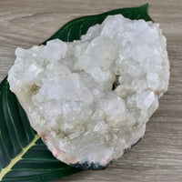 Apophyllite Cluster 4" (1 lb+) - Rough, SUPER SPARKLY - *Connection with Guides & Angels* - "Supports Infusion of Spiritual Light"