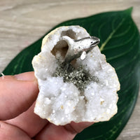GEODE ART - Pewter Dolphin in Small Snow Quartz Geode - Natural, Unpolished, No Dyes - Simply Beautiful!