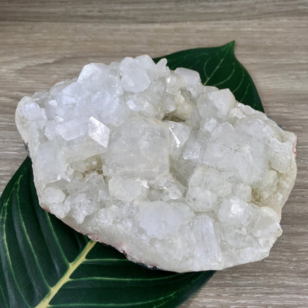 Apophyllite Cluster 4" (1 lb+) - Rough, SUPER SPARKLY - *Connection with Guides & Angels* - "Supports Infusion of Spiritual Light"