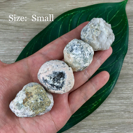 Agate Geodes - Break Your Own! Natural, No Dyes - Gift from Nature - One of a Kind - *Abundance* - *Luck* - *Balance* - Reiki Energy