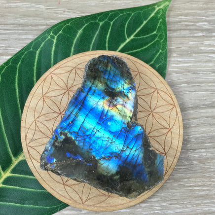 Spectacular Labradorite Spectrolite Slab - FLASHY! - Naturally Beautiful! Semi-Polished - *Stone of Magic*