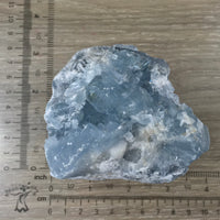 3.5" Celestite Geode (20.74oz) - Sparkling! - Rough - Exact Piece - Natural, No Dyes - *Serenity* - *Angelic Communication* - Throat Chakra