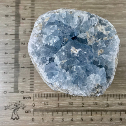 3" Celestite Geode (20.44oz) - Sparkling! - Rough - Exact Piece - Natural, No Dyes - *Serenity* - *Angelic Communication* - Throat Chakra