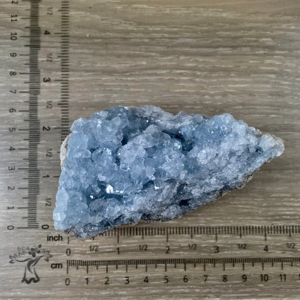 3.75" Celestite Geode (12.86oz) - Sparkling! - Rough - Exact Piece - Natural, No Dyes - *Serenity* - *Angelic Communication* - Throat Chakra