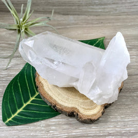 3.25" Clear Quartz Cluster with Big Beautiful Point - Unpolished, Natural - *Stone of Light" - Reiki Energy