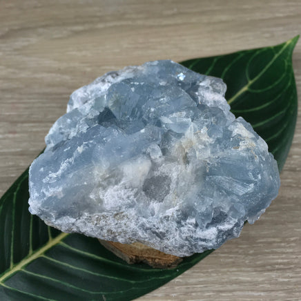 3.5" Celestite Geode (20.74oz) - Sparkling! - Rough - Exact Piece - Natural, No Dyes - *Serenity* - *Angelic Communication* - Throat Chakra