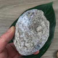 3.5" Celestite Geode (19.7oz) - Sparkling! - Rough - Exact Piece - Natural, No Dyes - *Serenity* - *Angelic Communication* - Throat Chakra