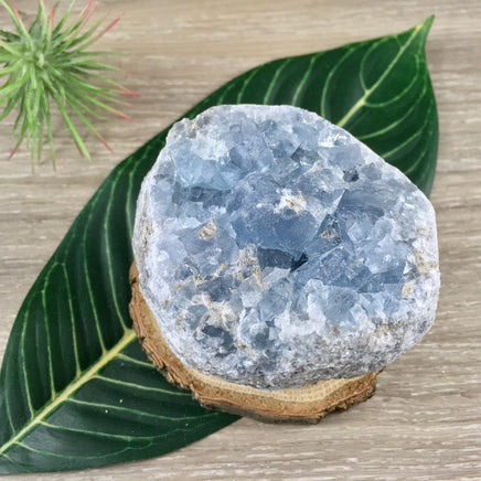 3" Celestite Geode (20.44oz) - Sparkling! - Rough - Exact Piece - Natural, No Dyes - *Serenity* - *Angelic Communication* - Throat Chakra