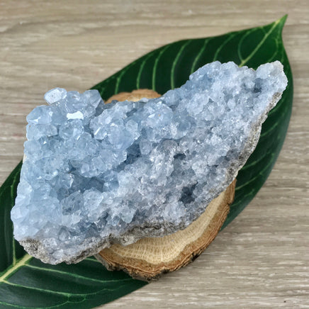 3.75" Celestite Geode (12.86oz) - Sparkling! - Rough - Exact Piece - Natural, No Dyes - *Serenity* - *Angelic Communication* - Throat Chakra