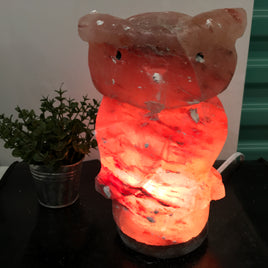 9" Wise Owl - EXACT PIECE -  Dark Orange Himalayan Salt Lamp with CSA approved cord & light bulb - Nature's Ionizer - Excellent Gift