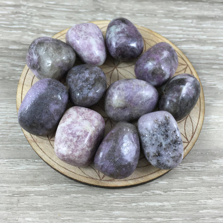 Lepidolite (2 sizes to choose) - Tumbled, Smooth - Beautiful Shimmer - *Emotional Healing & Balance* - *Serenity* - *Stress Relief*