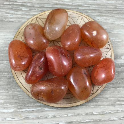 Brazilian Carnelian- Tumbled Crystal, Natural, Polished, No Dyes - *COURAGE* - *CONFIDENCE* - Reiki Energy