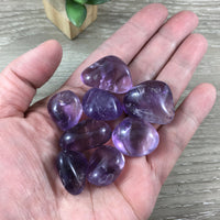 Brazilian Amethyst Tumbled Crystal - 2 sizes - *PROTECTION* - *PURIFICATION* - Reiki Healing