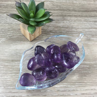 Brazilian Amethyst Tumbled Crystal - 2 sizes - *PROTECTION* - *PURIFICATION* - Reiki Healing