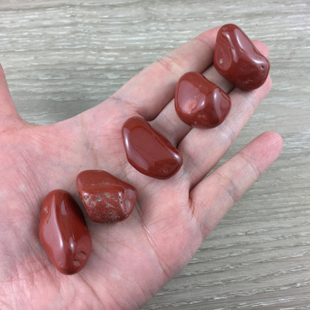 Red Japser - Tumbled, No Dyes, Natural - 0.75" - 1" - *Physical Strength* - *Stabilize Energy* - *Vitality* - Root Chakra Crystal