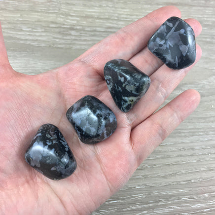 Mystical Merlinite | Indigro Gabbro - Tumbled, Smooth -  - *INTUITION * - *MYSTICISM* - *MAGIC* - Reiki Healing