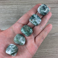 Tree Agate / Dendritic Agate - Tumbled, Smooth, Polished - *Stone of Plentitude* - *Stability* - *Perseverance* - Reiki Healing