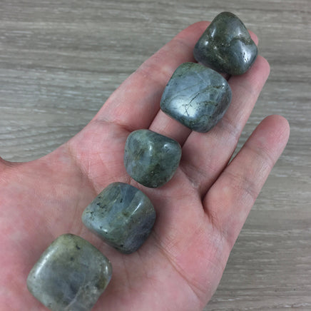 Labradorite (Light Grey) / Spectrolite - Tumbled Stones - Smooth, Polished - *Stone of Magic* - Reiki Healing