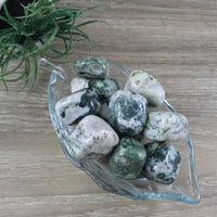 Tree Agate / Dendritic Agate - Tumbled, Smooth, Polished - *Stone of Plentitude* - *Stability* - *Perseverance* - Reiki Healing