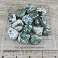 Tree Agate / Dendritic Agate - Tumbled, Smooth, Polished - *Stone of Plentitude* - *Stability* - *Perseverance* - Reiki Healing