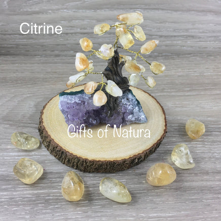 3 sizes Genuine Gemstone Trees - 3 Options - Amethyst, Aventurine, Citrine - Gorgeous!  12 branches, Plastic Free