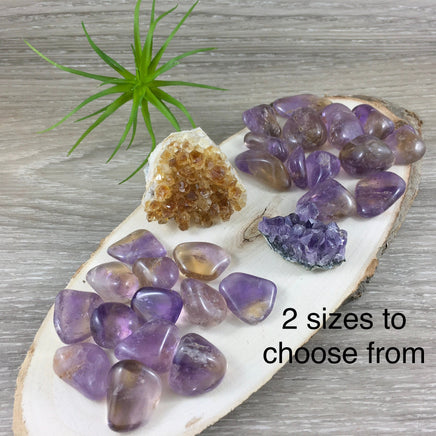 Ametrine Tumbled Crystal (Top Grade) - 2 sizes - *DECISIVENESS* - *MENTAL & SPIRITUAL Clarity*  - Reiki Energy