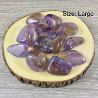 Ametrine Tumbled Crystal (Top Grade) - 2 sizes - *DECISIVENESS* - *MENTAL & SPIRITUAL Clarity*  - Reiki Energy