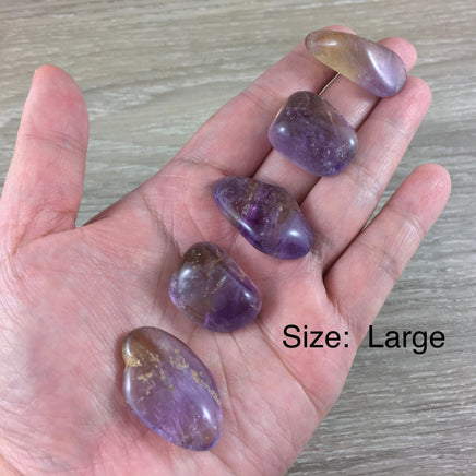 Ametrine Tumbled Crystal (Top Grade) - 2 sizes - *DECISIVENESS* - *MENTAL & SPIRITUAL Clarity*  - Reiki Energy