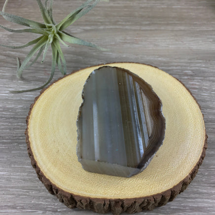 Agate Geode Stand -  Lovely Brown Gray Bands!  Semi-Polished - Nice Shape!  *Reiki Energy*