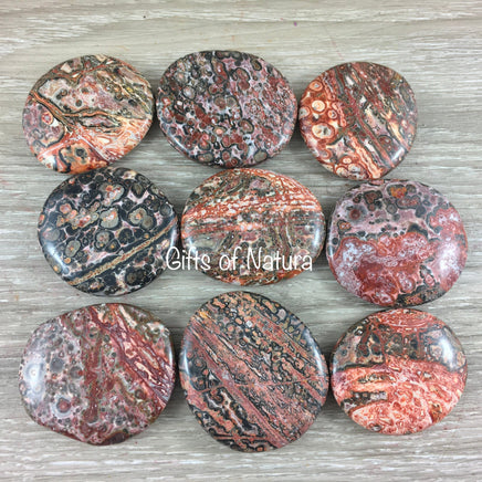 Leopardskin Orbicular Jasper Palm Stone / Earth Stone -  Smooth, Hand-Polished - Natural - *Inner Voice* - *Shamanic Travel* - Reiki Healing