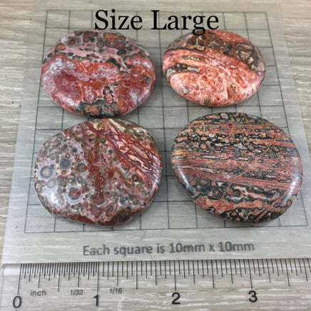 Leopardskin Orbicular Jasper Palm Stone / Earth Stone -  Smooth, Hand-Polished - Natural - *Inner Voice* - *Shamanic Travel* - Reiki Healing