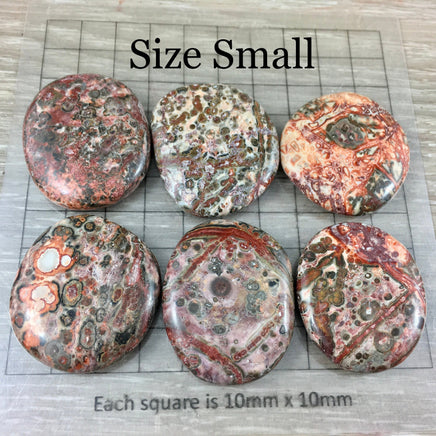 Leopardskin Orbicular Jasper Palm Stone / Earth Stone -  Smooth, Hand-Polished - Natural - *Inner Voice* - *Shamanic Travel* - Reiki Healing