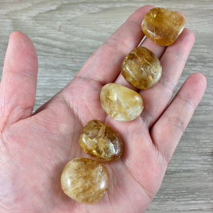 Honey Calcite Tumbled Stones - Polished, Smooth, Beautiful Inclusions - *RELAXATION* - *Enhance Meditation* - *Stimulates Will*