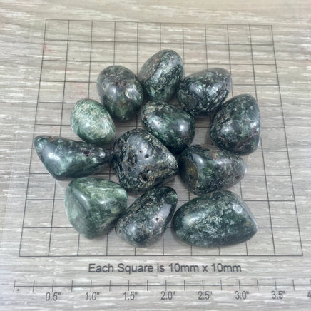 Seraphinite (AAA Grade) - Tumbled, Natural, No Dyes - *Self-Healing*, *Wholeness* , *Regeneration*, *Angelic Communication*