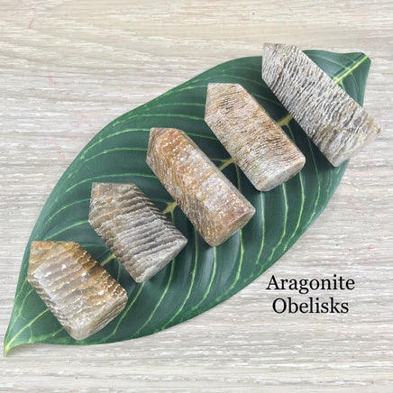 Small Aragonite Obelisks - Natural, Hand Polished - *Balance Energy Fields* - *Emotional Healing* - *Renewed Strength & Confidence*