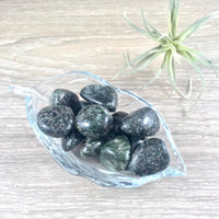 Seraphinite (AAA Grade) - Tumbled, Natural, No Dyes - *Self-Healing*, *Wholeness* , *Regeneration*, *Angelic Communication*
