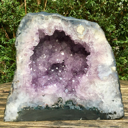 Amethyst Cathedral - 10.5" Length - BIG, DARK Sparkling Points - Superb Quality - Rough, Natural - *CALMING* - Reiki Energy