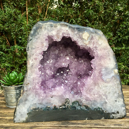 Amethyst Cathedral - 10.5" Length - BIG, DARK Sparkling Points - Superb Quality - Rough, Natural - *CALMING* - Reiki Energy